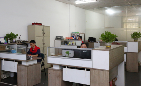 定制服務(wù)實力